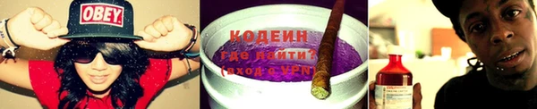 шишки Вязники